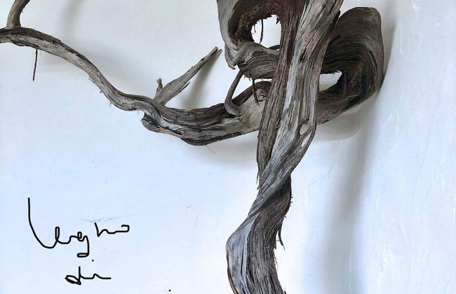 Maison Monte d'A Rena - Foto 41