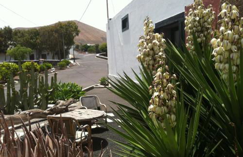 La Finca Uga - Photo 16