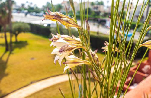 Vera Buda Natura. Ático apartamento con vistas al mar. - Foto 22