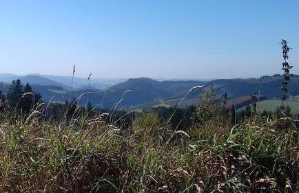 Apartment Schoenblick - Foto 17