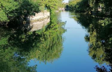 Gîte Les Demoiselles des Sorgues - Photo 22