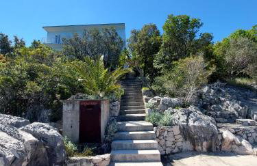 Apartmani Ivušić - Foto 54