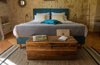 Vue sur les Vignes du Château La Gaffelière - Saint-Émilion Grand Cru - Foto 17