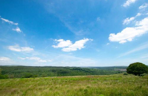 3 Bed in Coelbren oc-way238 - Foto 42