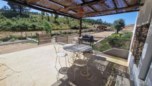 Gecko Pego Longo - Foto 2