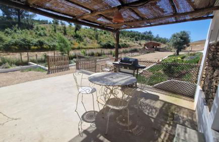 Gecko Pego Longo - Foto 2