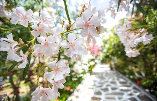 Seaside Studios Arkasa Karpathos - Photo 36