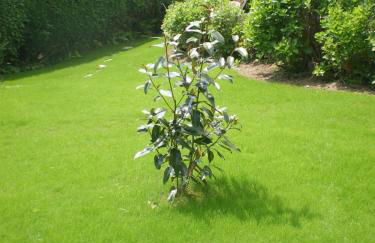 Résidence de l'Espérance - Foto 23