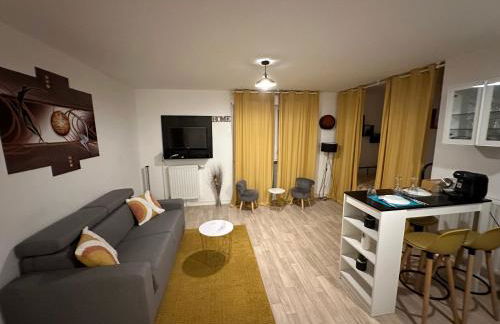 Paris- Disney - Parking privé !PKN! - Foto 5