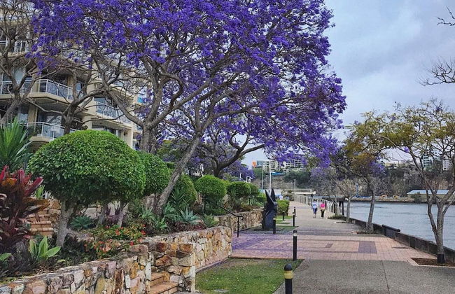 2BR Beautiful River Retreat Pool Wine Gym Netflix - Foto 10