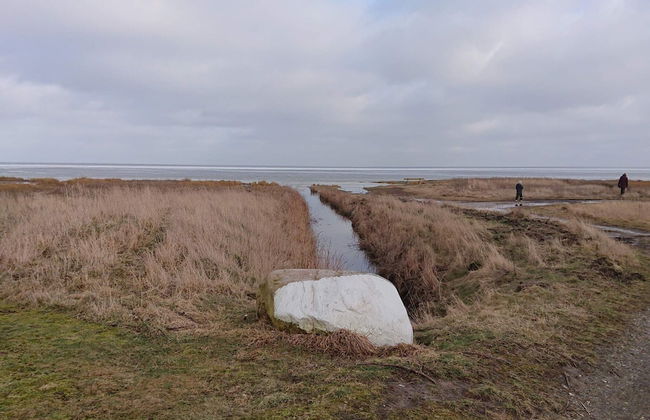 6 Person Holiday Home in Orsted - Foto 9