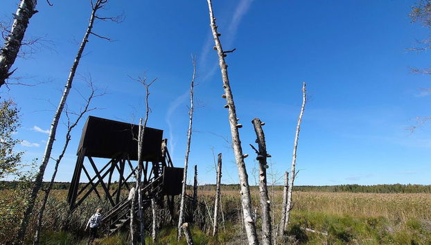 Charming Red Farmhouse Near Forsheda - Foto 5, Verschiedenes