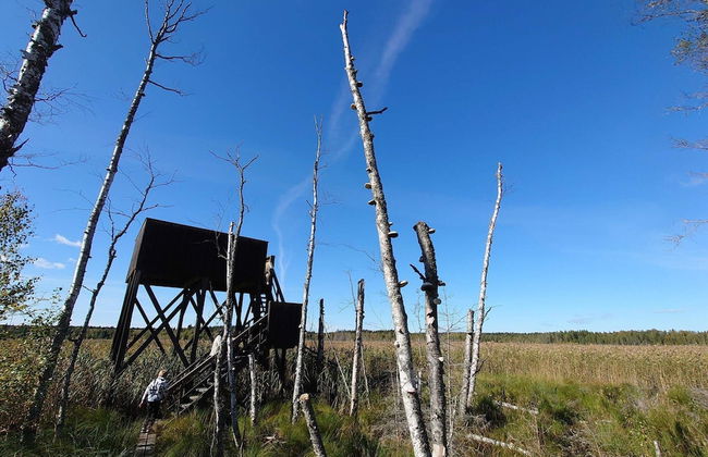 Charming Red Farmhouse Near Forsheda - Photo 8