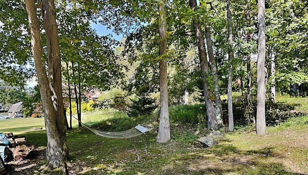 Servizio della struttura