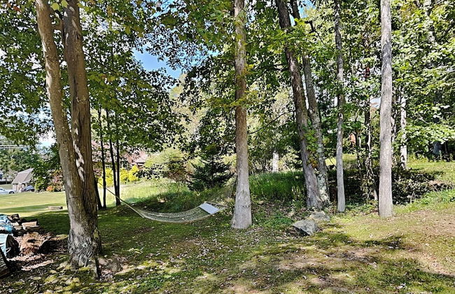 Mountain Escape by Taylor Made Deep Creek - Photo 15