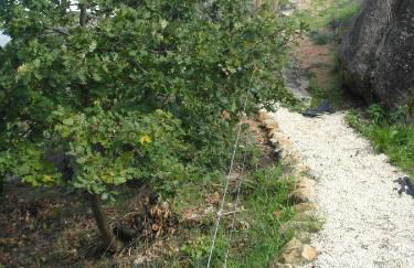 Casa da Bôcha - Foto 42