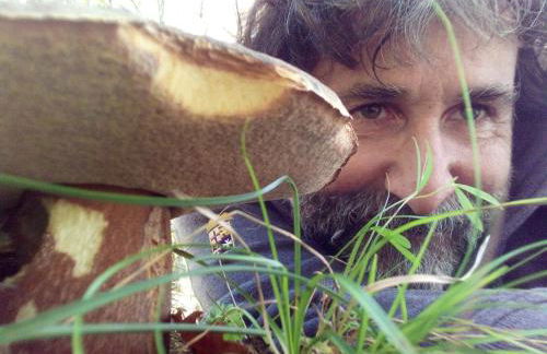 Agriturismo Le Roghete - Foto 68