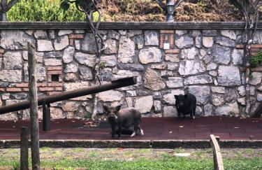 Agriturismo La Baita - Foto 58