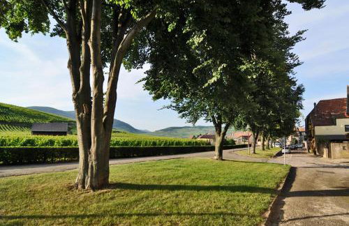 La Maison Jaune - Foto 36