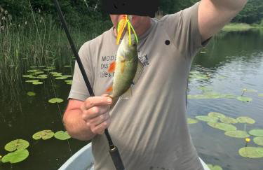 Haus 'am Selliner See-wismar' - Foto 19