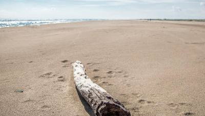 Exclusivo Chalet a Pie de Costa - Photo 2