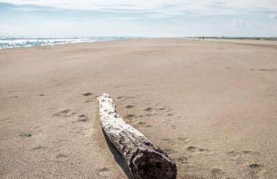 Exclusivo Chalet a Pie de Costa - Photo 2