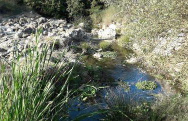 Casetta Monterano - Foto 10