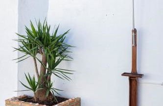 La Vaquería - Foto 67