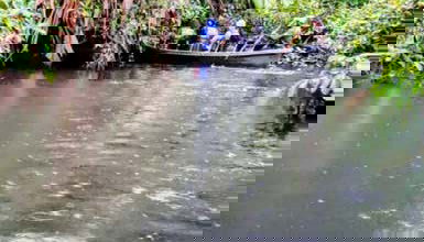 Tour en canoa por el Parque Nacional Tortuguero - Foto 5, Estar en un entorno natural, como un canal rodeado de vegetación