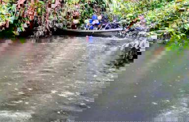 Tortuguero National Park Canoeing Tour - Photo 5