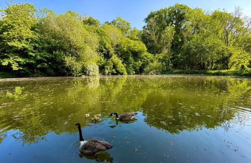 Sunridge Fishing Lodge with Hot Tub & Giant Cinema - Foto 69