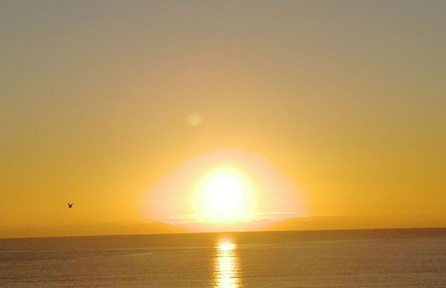 Rowntree Holiday Flats - Foto 11