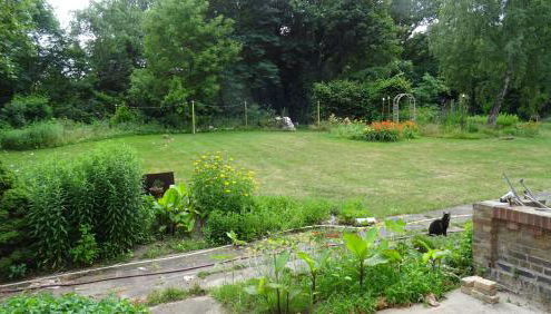 FeWo "Falter" im Kunstgut Krahne - Foto 5