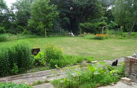 FeWo "Falter" im Kunstgut Krahne - Foto 5