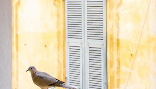 26 nice Vieux Nice - Foto 4