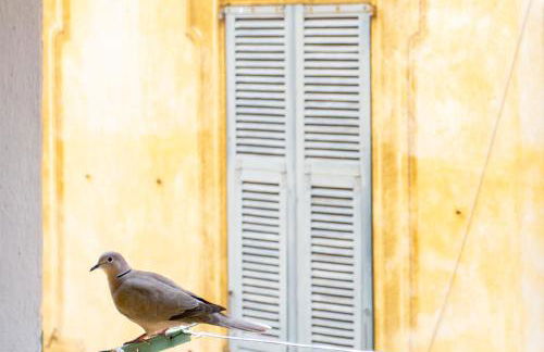 26 nice Vieux Nice - Foto 4