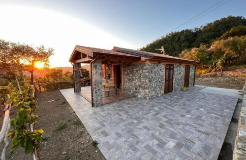 La Madonnina-house in the Bolano vineyard - Foto 1