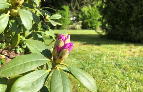 Idas Garten - Foto 35