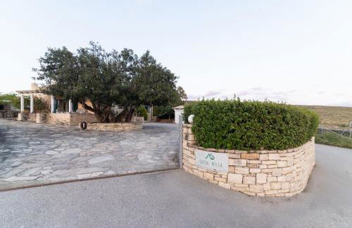 Carob Villa - Photo 75