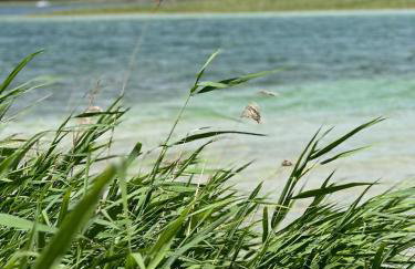 Dom Kacprowy - Brzegi Lasu - dwa apartamenty na wyłączność z ogrodem - Foto 60