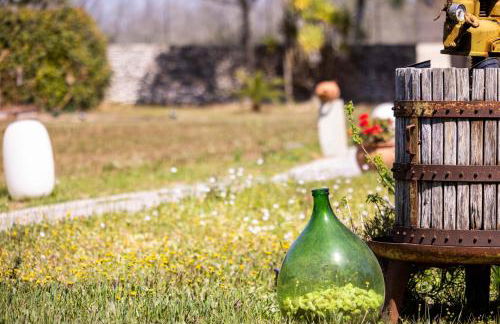 Tenuta Santicuti - Foto 22