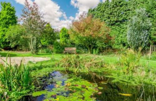 Goldfinch cottage - Foto 24