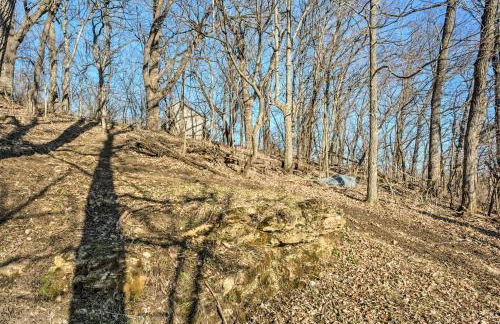 The Burgundy Cabin Iowa Retreat Pond and Fire Pit - Foto 21