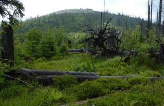 Apartment Landhaus Wildfeuer by Interhome - Foto 13