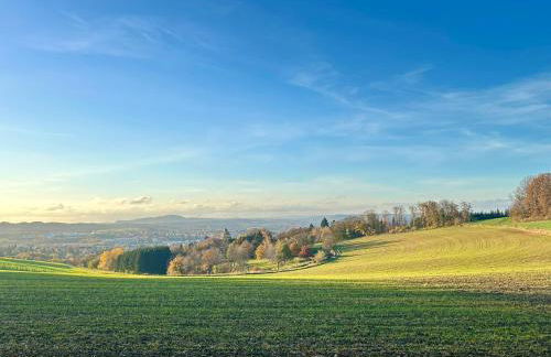Kleine Auszeit Ferienwohnung nahe Bosenbergklinik mit Parkplatz, Haustiere willkommen - Foto 40