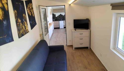 Micro maison Lyon 8/ Parking / Terrain de pétanque - Photo 4