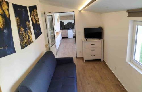 Micro maison Lyon 8/ Parking / Terrain de pétanque - Photo 4