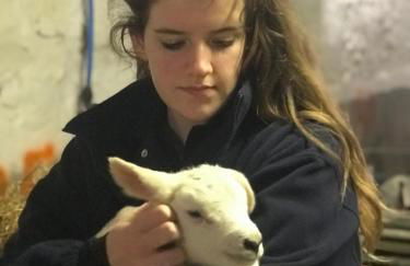 Bunnahabhain 5 - Farm Stay - Stunning sea and rural views - Photo 37