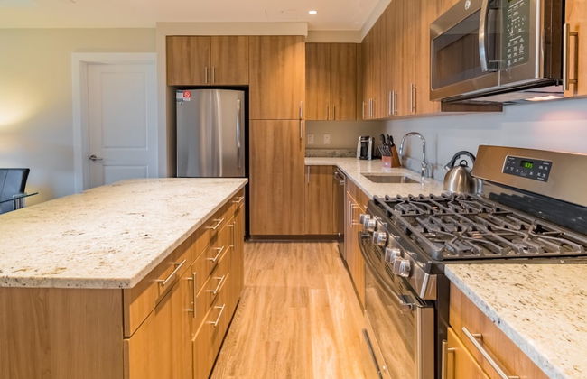 Bluebird Suites near Pentagon - Photo 50