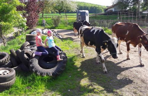 Anitas Landerlebnis - Foto 6